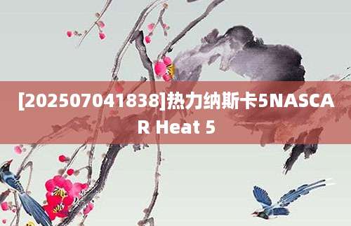 [202507041838]热力纳斯卡5NASCAR Heat 5