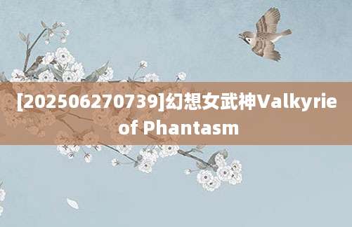 [202506270739]幻想女武神Valkyrie of Phantasm