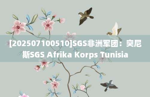[202507100510]SGS非洲军团：突尼斯SGS Afrika Korps Tunisia