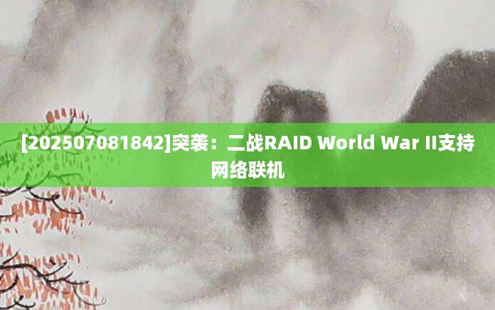 [202507081842]突袭：二战RAID World War II支持网络联机