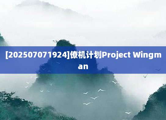 [202507071924]僚机计划Project Wingman