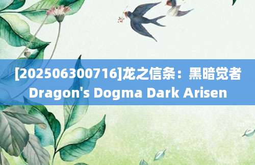 [202506300716]龙之信条：黑暗觉者Dragon's Dogma Dark Arisen
