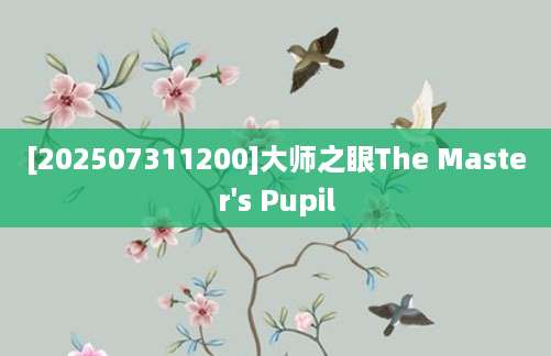 [202507311200]大师之眼The Master's Pupil