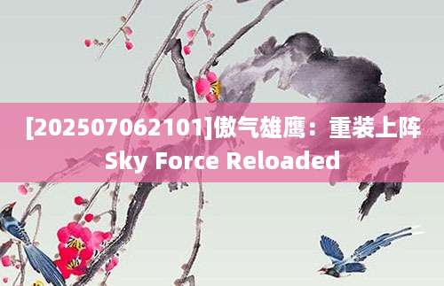 [202507062101]傲气雄鹰：重装上阵Sky Force Reloaded