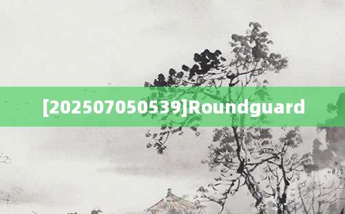 [202507050539]Roundguard