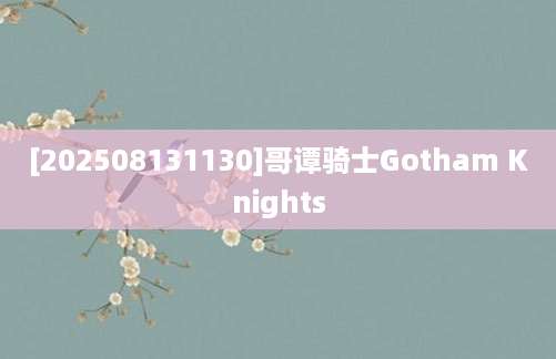[202508131130]哥谭骑士Gotham Knights
