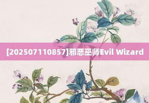 [202507110857]邪恶巫师Evil Wizard