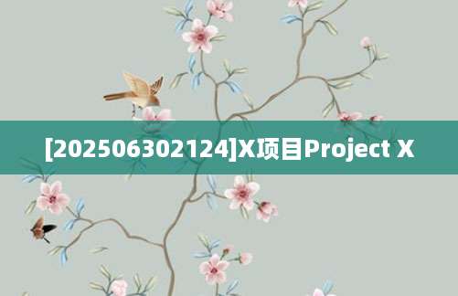 [202506302124]X项目Project X