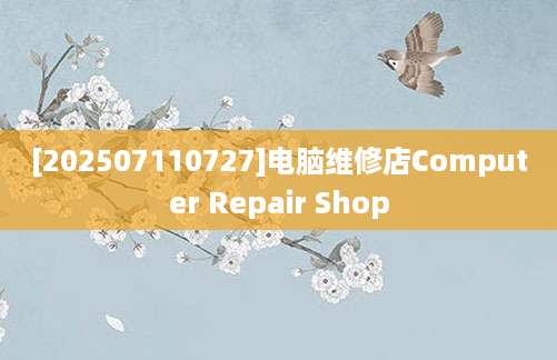 [202507110727]电脑维修店Computer Repair Shop