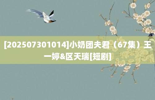[202507301014]小奶团夫君（67集）王一婷&区天瑞[短剧]