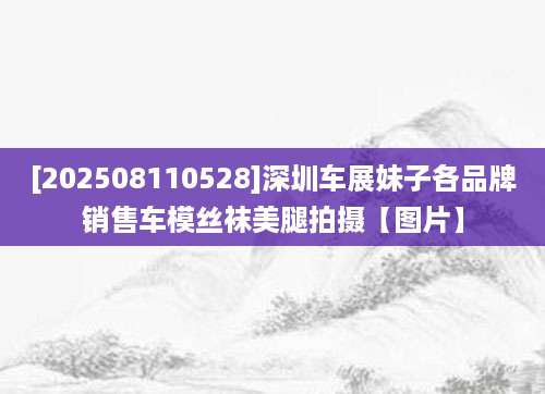 [202508110528]深圳车展妹子各品牌销售车模丝袜美腿拍摄【图片】