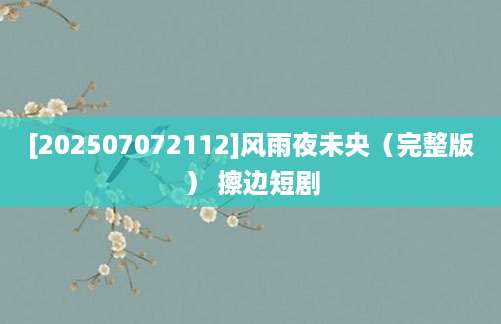 [202507072112]风雨夜未央（完整版） 擦边短剧