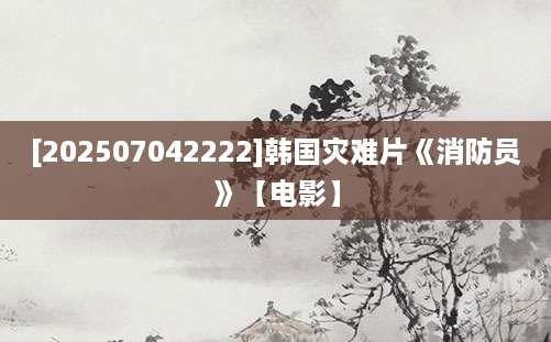 [202507042222]韩国灾难片《消防员》【电影】