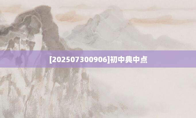 [202507300906]初中典中点