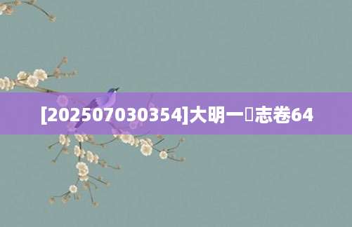 [202507030354]大明一統志卷64