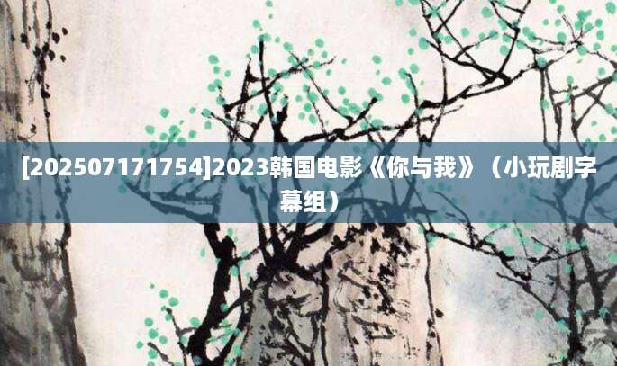 [202507171754]2023韩国电影《你与我》（小玩剧字幕组）