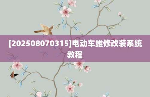 [202508070315]电动车维修改装系统教程