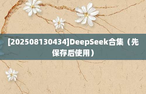 [202508130434]DeepSeek合集（先保存后使用）