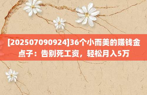 [202507090924]36个小而美的赚钱金点子：告别死工资，轻松月入5万