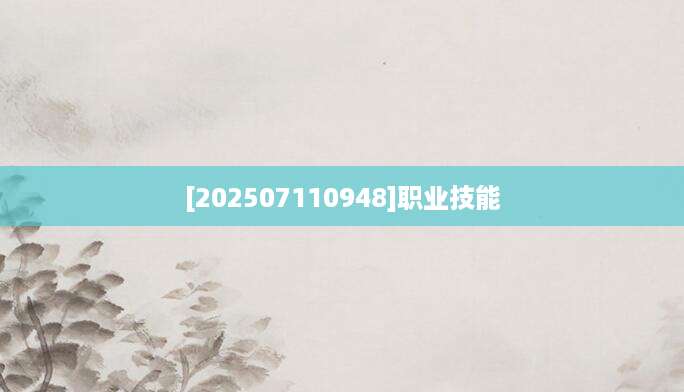 [202507110948]职业技能
