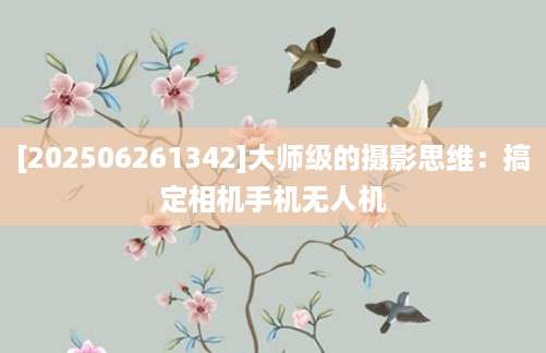 [202506261342]大师级的摄影思维：搞定相机手机无人机