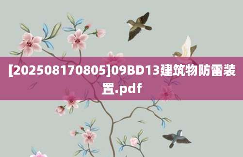 [202508170805]09BD13建筑物防雷装置.pdf