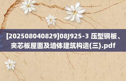 [202508040829]08J925-3 压型钢板、夹芯板屋面及墙体建筑构造(三).pdf