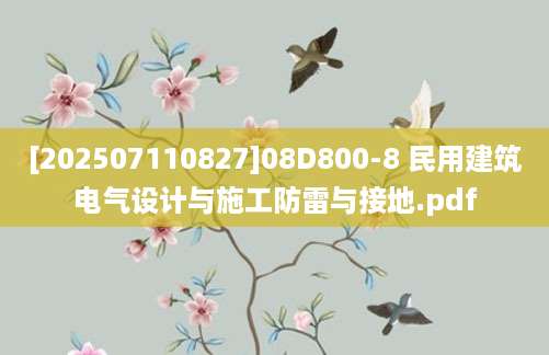 [202507110827]08D800-8 民用建筑电气设计与施工防雷与接地.pdf