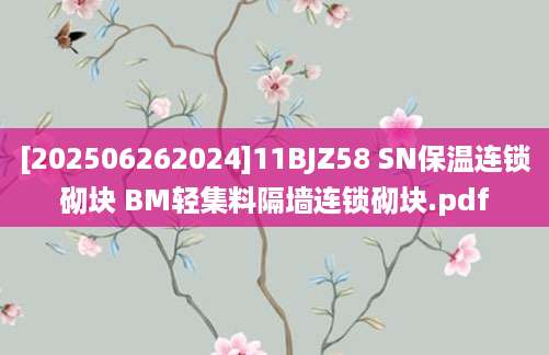 [202506262024]11BJZ58 SN保温连锁砌块 BM轻集料隔墙连锁砌块.pdf