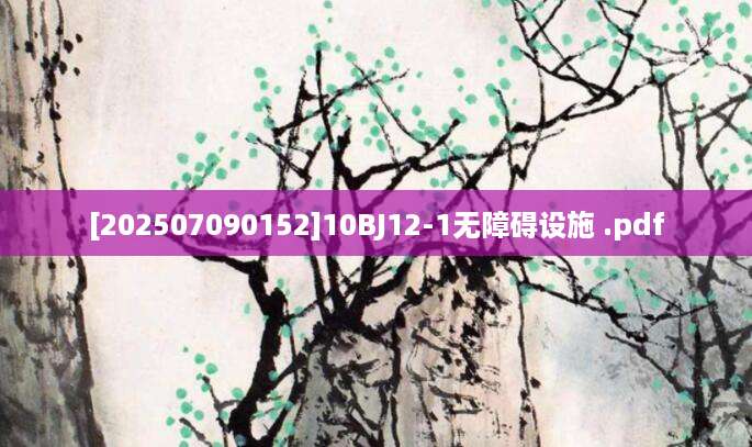 [202507090152]10BJ12-1无障碍设施 .pdf
