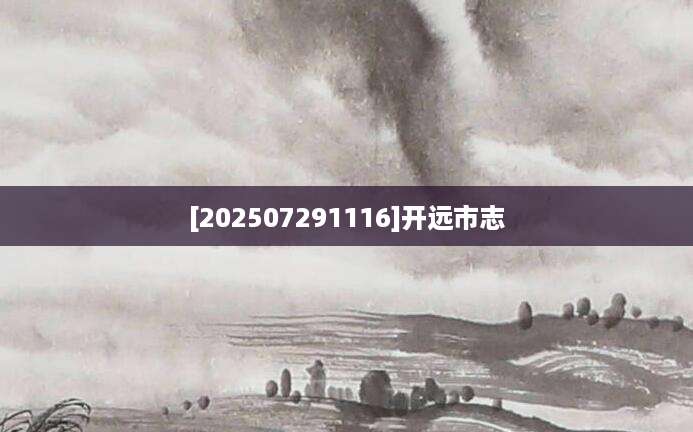 [202507291116]开远市志