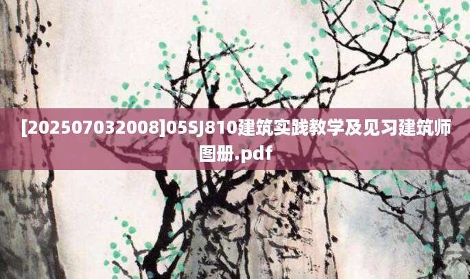 [202507032008]05SJ810建筑实践教学及见习建筑师图册.pdf