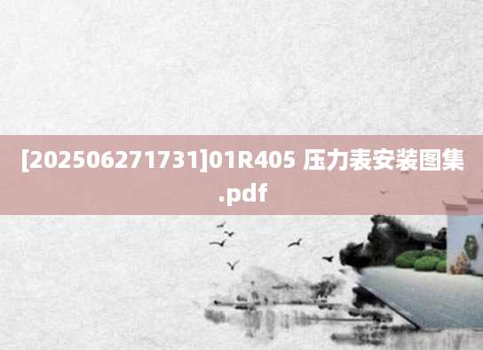 [202506271731]01R405 压力表安装图集.pdf