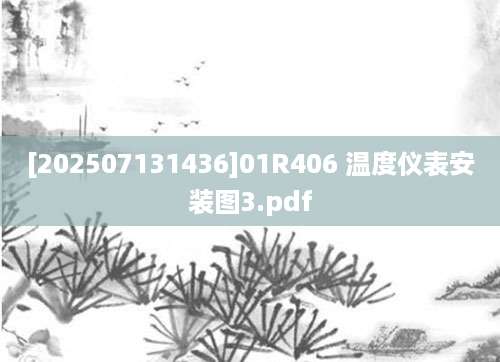 [202507131436]01R406 温度仪表安装图3.pdf