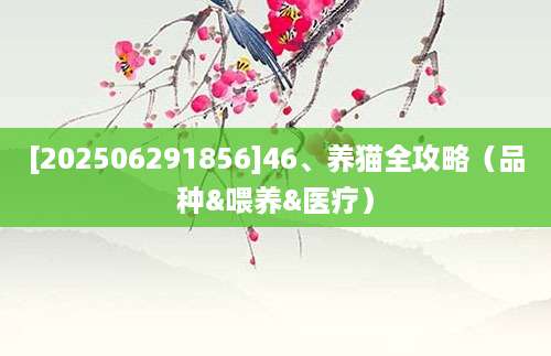 [202506291856]46、养猫全攻略（品种&喂养&医疗）