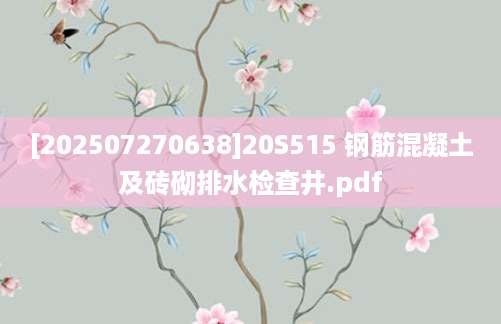 [202507270638]20S515 钢筋混凝土及砖砌排水检查井.pdf