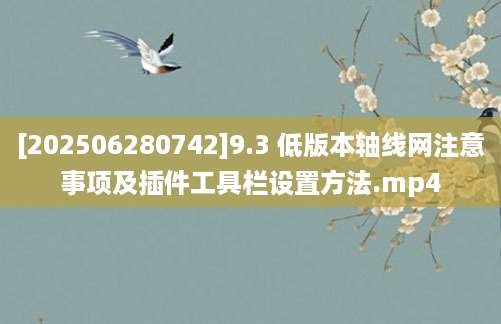 [202506280742]9.3 低版本轴线网注意事项及插件工具栏设置方法.mp4