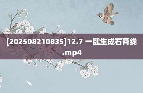 [202508210835]12.7 一键生成石膏线.mp4