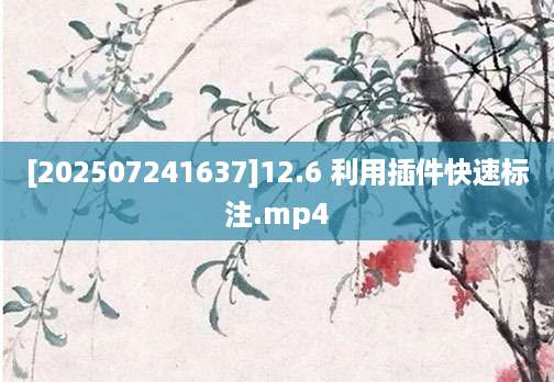 [202507241637]12.6 利用插件快速标注.mp4