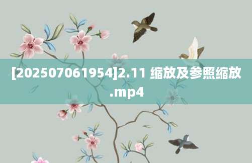 [202507061954]2.11 缩放及参照缩放.mp4