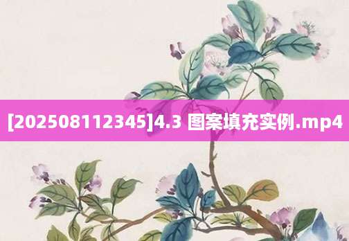 [202508112345]4.3 图案填充实例.mp4