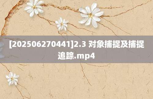 [202506270441]2.3 对象捕捉及捕捉追踪.mp4