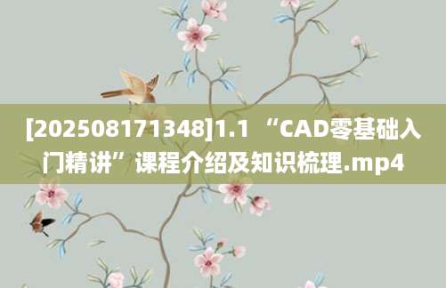 [202508171348]1.1 “CAD零基础入门精讲”课程介绍及知识梳理.mp4