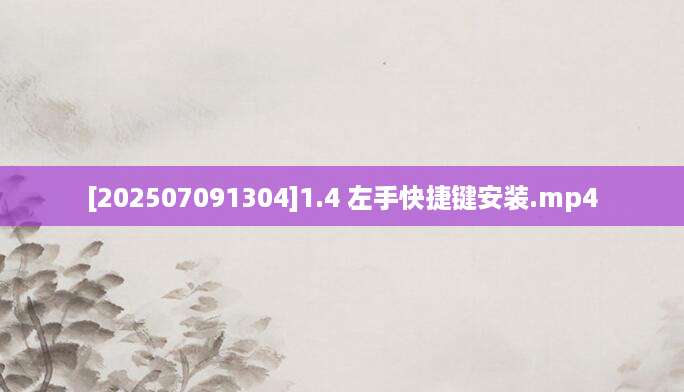 [202507091304]1.4 左手快捷键安装.mp4