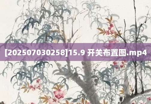 [202507030258]15.9 开关布置图.mp4