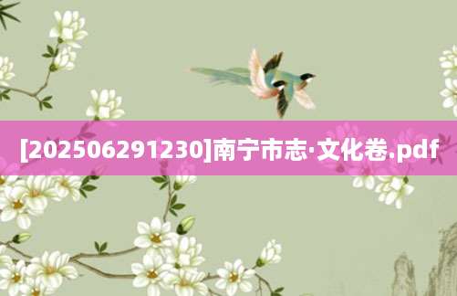 [202506291230]南宁市志·文化卷.pdf