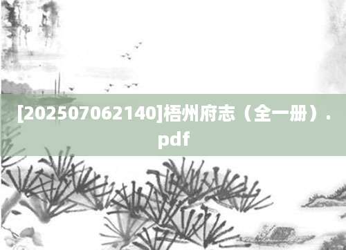 [202507062140]梧州府志（全一册）.pdf