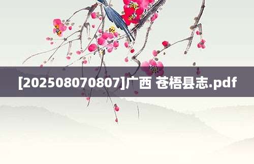 [202508070807]广西 苍梧县志.pdf