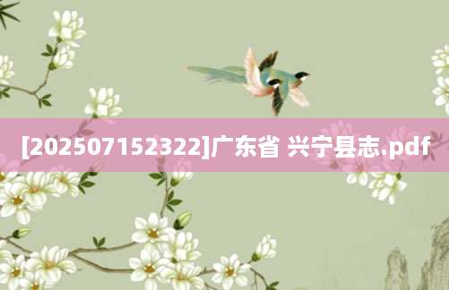 [202507152322]广东省 兴宁县志.pdf