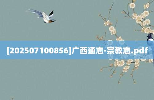 [202507100856]广西通志·宗教志.pdf